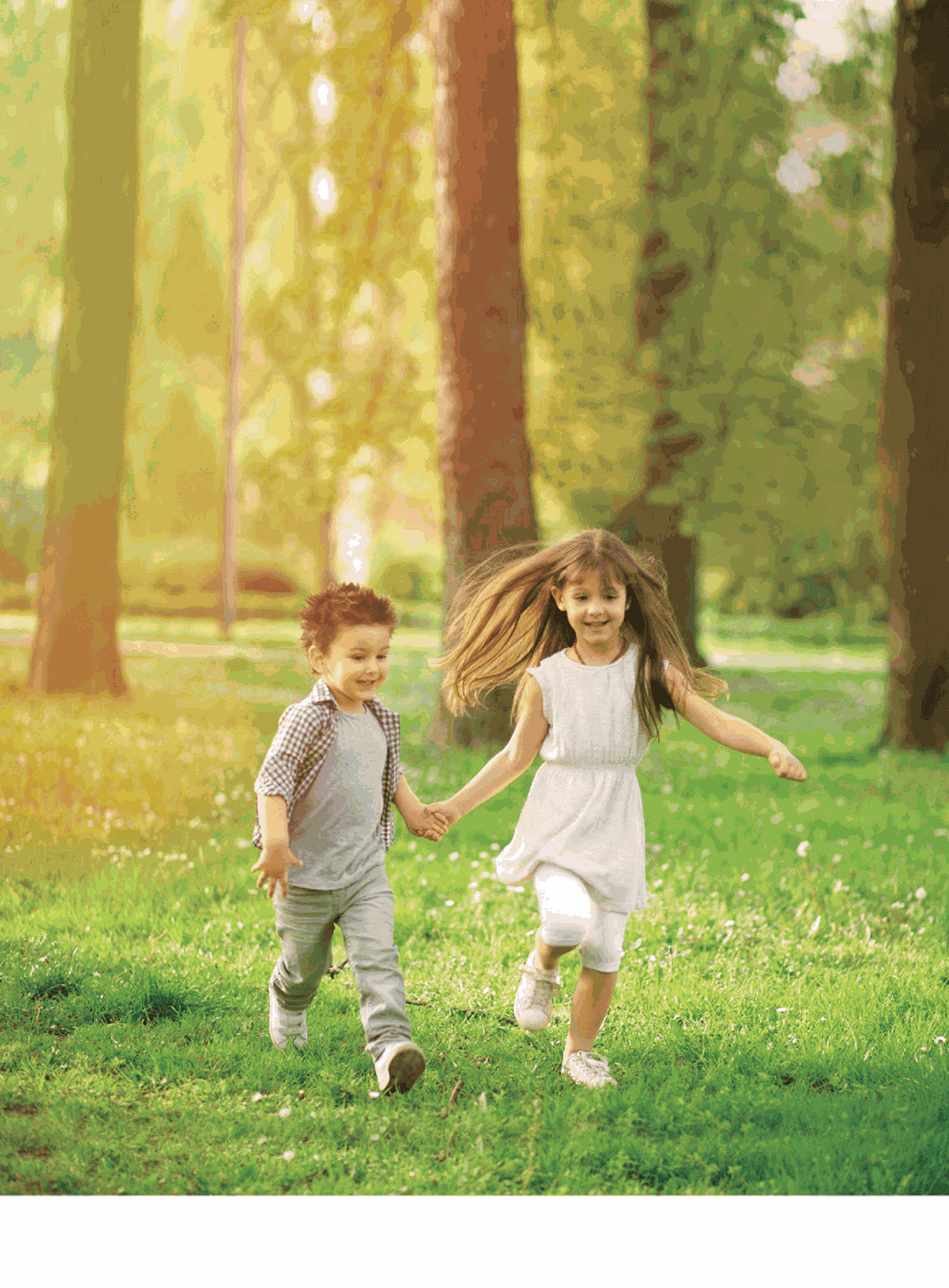 imagecompress1 imagecompress1